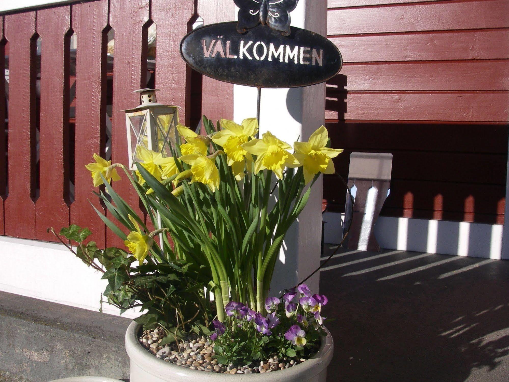 Perssons I Backens Pensionat- Sjoetorps Vandrarhem & Rum Exterior photo